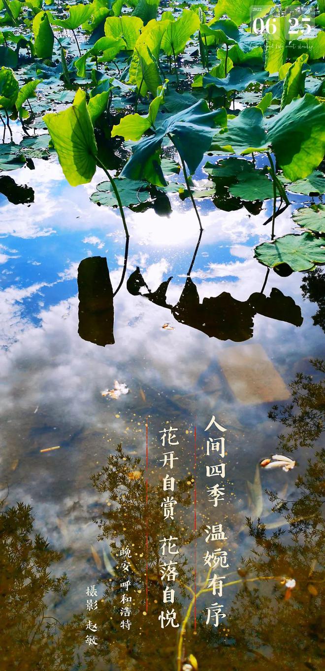 【晚安海报】人间四季，温婉有序 ；花开自赏，花落自悦